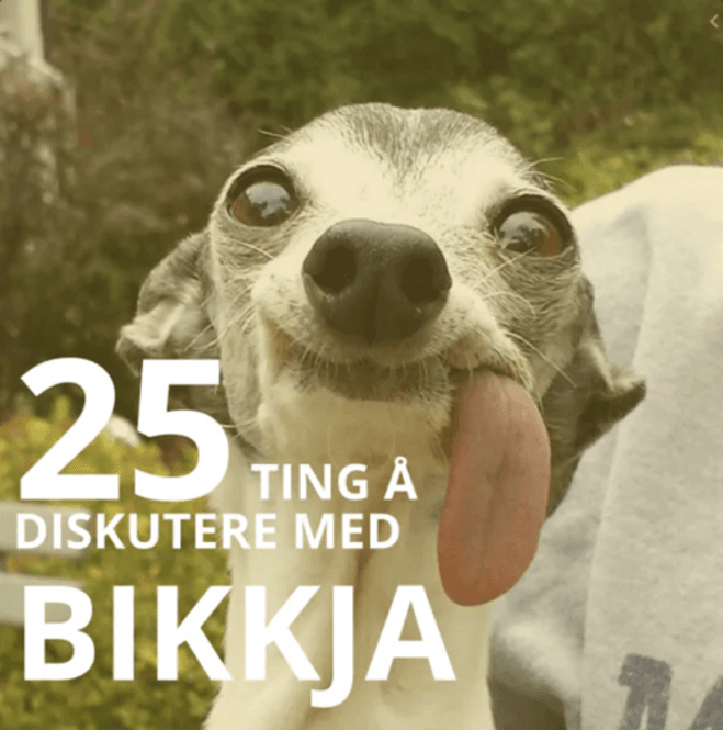 Hovedbilde 25 ting å diskutere med bikkja